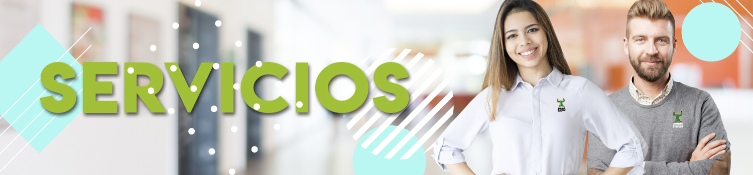 Servicios