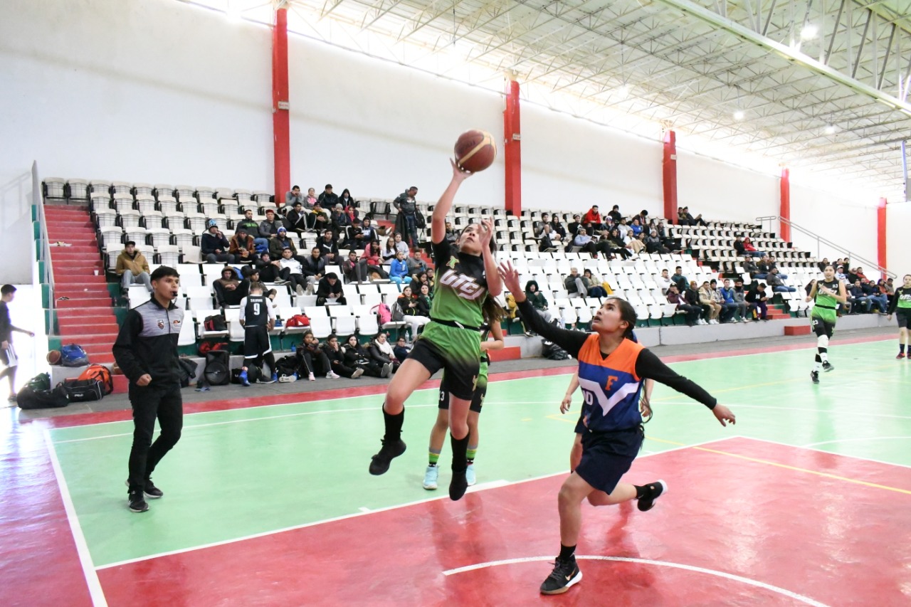 basket12.jpeg