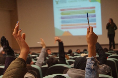 cur19.jpg
