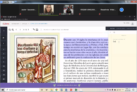 fidebib213.png