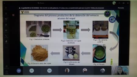 variante204.jpg