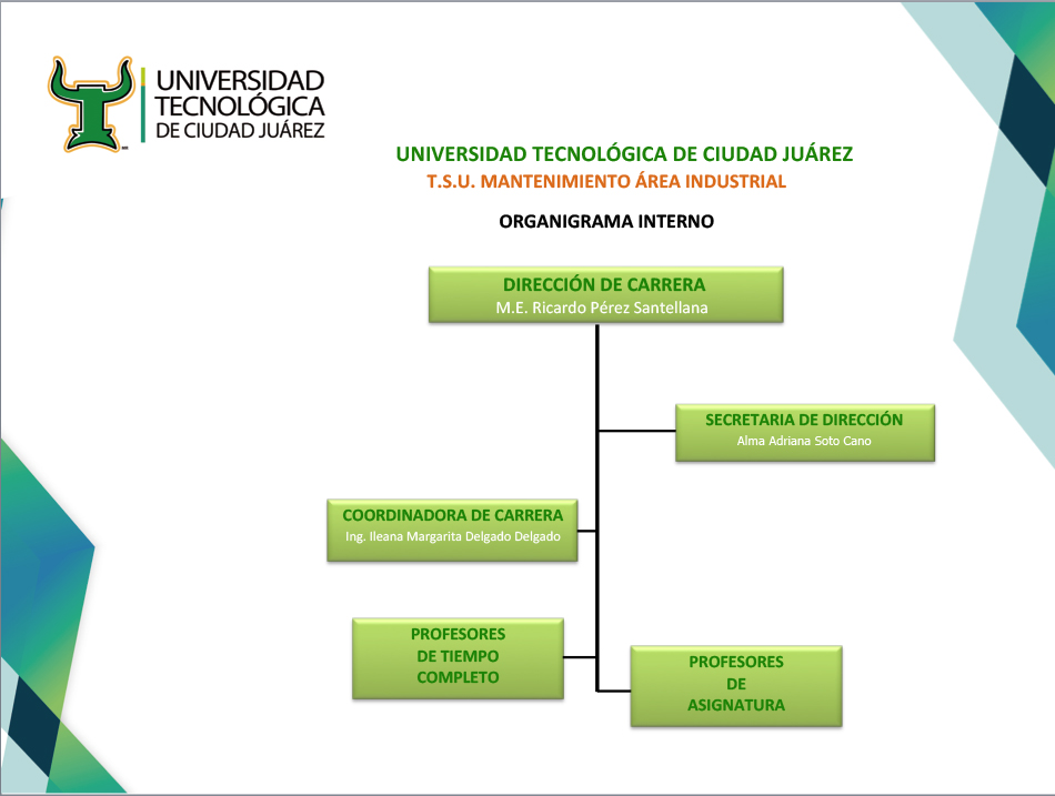 organigramainternoMI.jpg