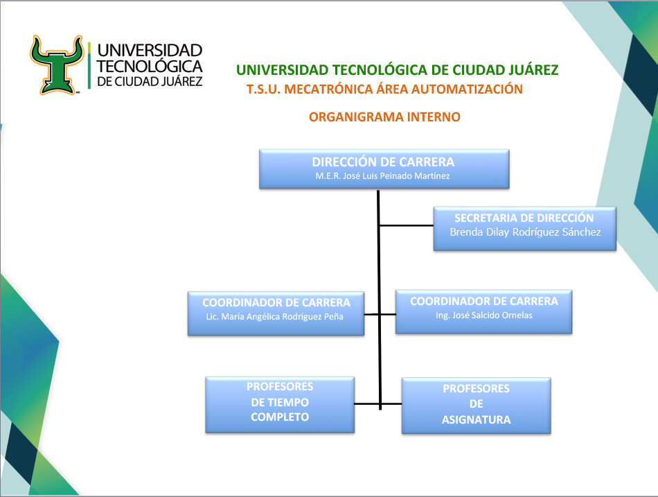 ORGANIGRAMA INTERNO MT.jpg