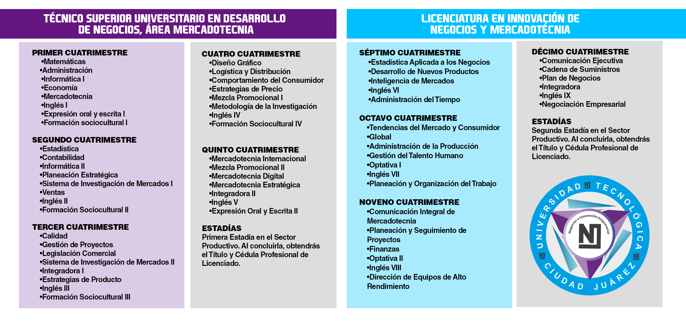 Ingenieria En Negocios E Innovacion Empresarial