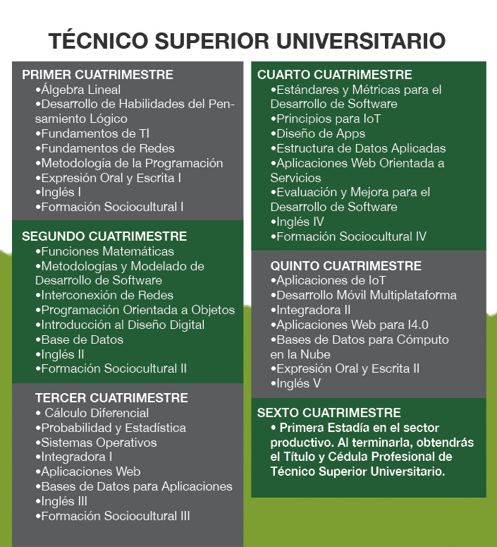 Ingeniería en Desarrollo y Gestión de Software​