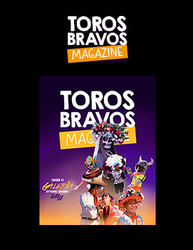 toros-bravos.jpg