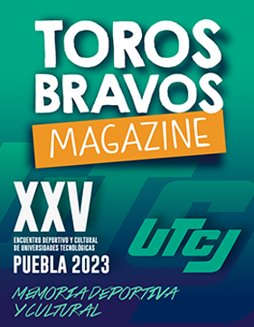 edición 13.png